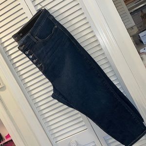 Torrid Sky High Skinny Crop Pants 22